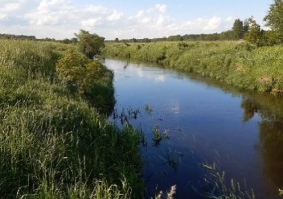 działka na sprzedaż - Narewka, Eliaszuki, Porosłe