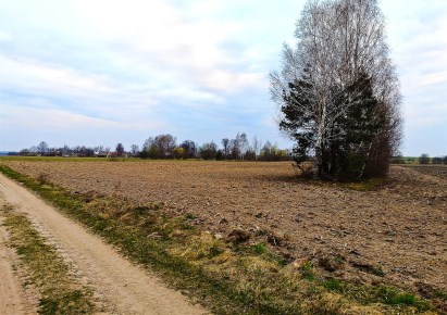 działka na sprzedaż - Gródek, Mieleszki