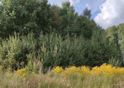 działka na sprzedaż - Białystok, Bagnówka