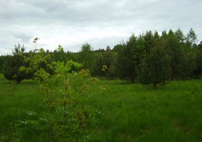 działka na sprzedaż - Zabłudów