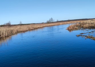 działka na sprzedaż - Supraśl (gw), Ogrodniczki, Kwiatowa