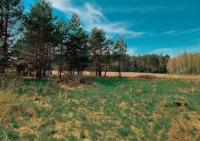 działka na sprzedaż - Zabłudów