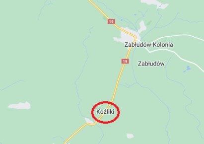 działka na sprzedaż - Zabłudów (gw), Koźliki