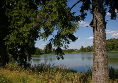 działka na sprzedaż - Gołdap (gw), Zatyki