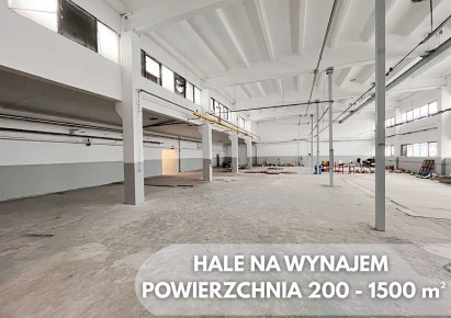 hala na wynajem - Wasilków