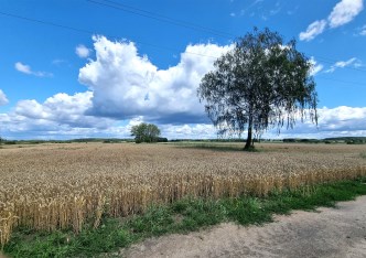 działka na sprzedaż - Juchnowiec Kościelny, Wólka