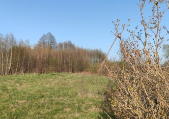 działka na sprzedaż - Turośń Kościelna, Baciuty